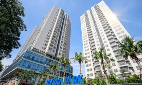 Long Giang Land: Kinh doanh bạc nhược, nợ xấu vọt tăng