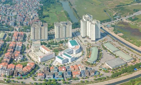 Phát triển Đô thị Từ Liêm (NTL): Lợi nhuận rơi xuống đáy 20 năm, bổ sung 150 tỷ đồng cho danh mục đầu tư chứng khoán