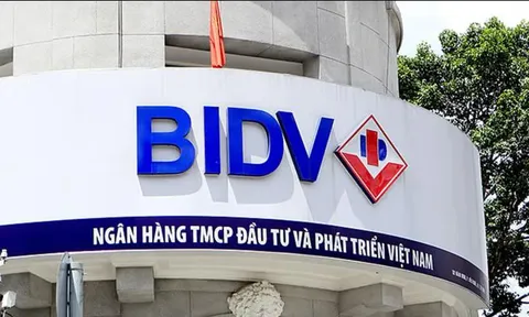 BIDV "đại hạ giá" khoản nợ của Thép Việt Nga sau 9 lần đấu giá bất thành