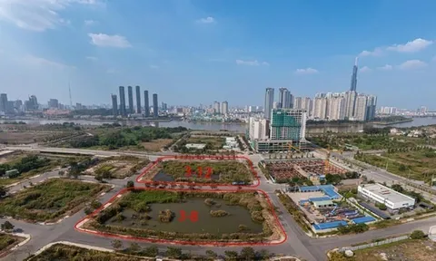 Bát nháo tình trạng quân xanh - quân đỏ trong đấu giá đất