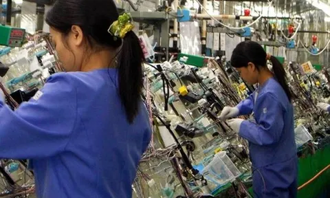 Agribank rao bán 2,5 triệu CP công ty ô tô, tiềm ẩn đầy rủi ro pháp lý
