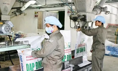 DAP – VINACHEM: Lợi nhuận đi xuống, suy giảm tới 80%