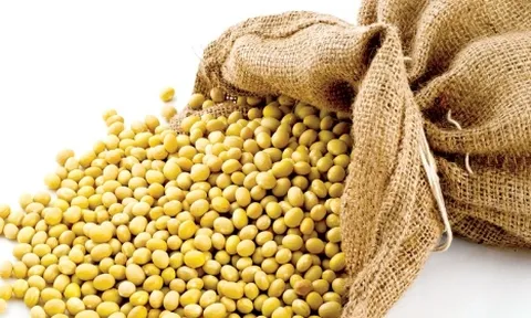 Đề xuất giảm thuế nhập khẩu khô đậu tương từ 2% xuống 0%