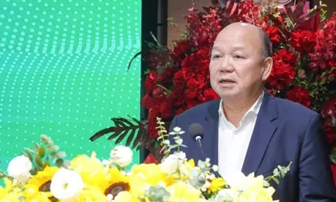 Cổ phiếu công ty ông Tô Dũng làm Chủ tịch tăng giá gấp đôi