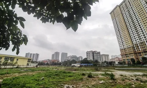 Dự án trăm tỷ của Công ty Đông Đô bỏ hoang chục năm do thành phố Hà Nội chậm giải quyết chính sách?