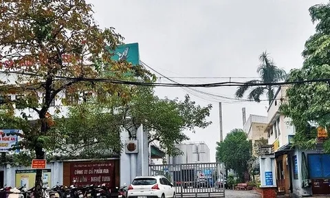 Nghệ An: Sa sút kinh doanh, Công ty Bia Sài Gòn - Nghệ Tĩnh bất ngờ thay đổi Chủ tịch HĐQT