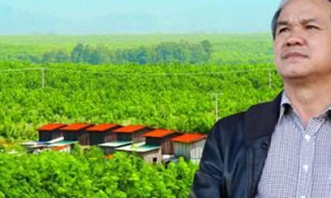 Hoàng Anh Gia Lai (HAG): Em trai Chủ tịch Đoàn Nguyên Đức muốn thoái vốn