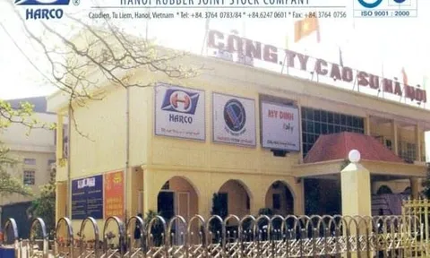 Dính hàng loạt vi phạm thuế, Cao su Hà Nôi bị phạt, truy thu hơn 6,7 tỷ đồng