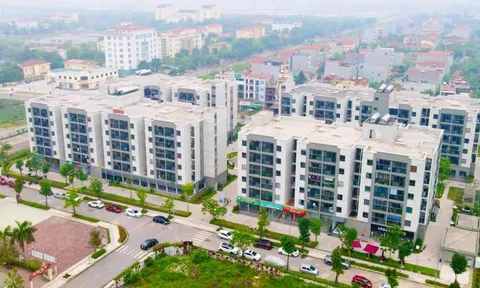 Đề xuất vợ chồng có thu nhập 50 triệu/tháng được mua nhà ở xã hội