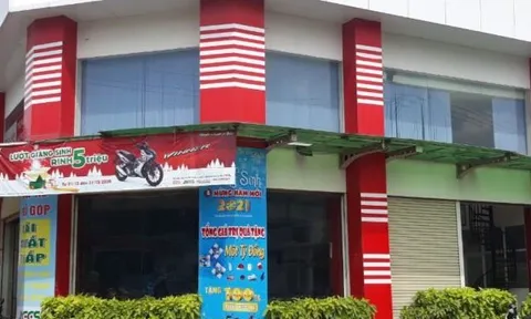 Thêm một “làn sóng” chuyển dịch nhân sự mới tại Angimex