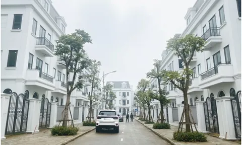 Sốt ở phía Tây Hà Nội: Khách bỏ 200 tỷ mua 6 biệt thự, sàn thanh khoản 1.000 tỷ/tuần