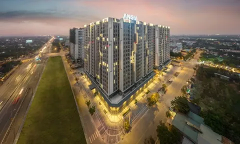 Cổ phiếu ‘cắm đầu’ 6 tháng qua, An Gia có thêm một năm xuống dốc?