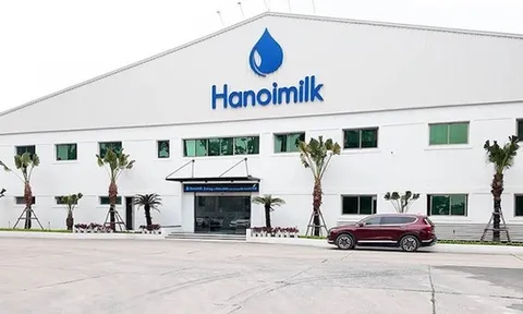 Cổ phiếu Hanoimilk liên tục “chuyền tay” nội bộ
