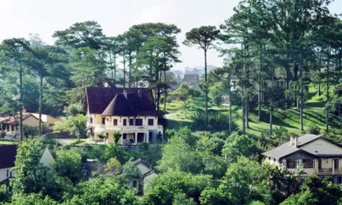 Lâm Đồng thu hồi 3 dự án tại Khu du lịch quốc gia hồ Tuyền Lâm