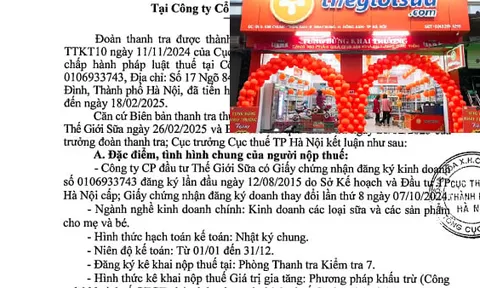 Công ty Thế giới Sữa bị phạt 248 triệu đồng vì vi phạm thuế