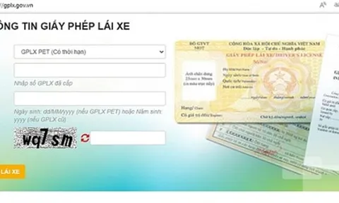 Xử lý 3 website giả mạo trang thông tin điện tử giấy phép lái xe