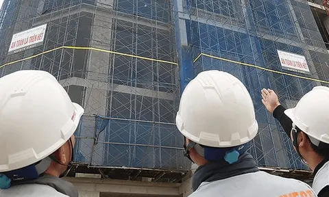 Trước khi giải thể công ty con, CTCP Đầu tư Hải Phát hoạt động ra sao?