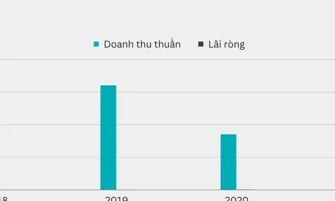 Doanh thu trăm tỷ, công ty CP kỹ thuật Toàn Cầu đóng thuế được bao nhiêu?