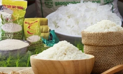Giá gạo xuất khẩu Việt Nam cao nhất thế giới