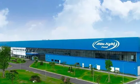 Thực phẩm Hữu Nghị (HNF): Chủ tịch sắp nhận cổ tức lớn, doanh thu 'bốc hơi' gần 84 tỷ đồng, lợi nhuận lao dốc 66%