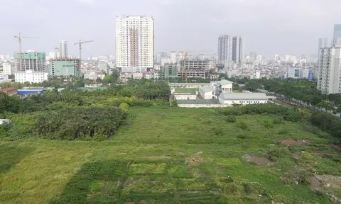 Hà Nội: Tạm dừng việc chia tách thửa đất nông nghiệp