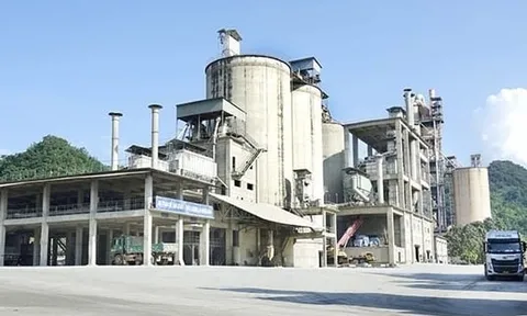 Xi măng Mai Sơn đội sổ nợ thuế tại Sơn La