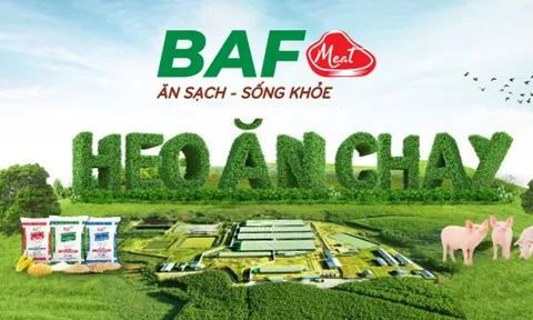 Nông nghiệp BaF (BAF): Thay 'tướng' khi lãi ròng lao dốc, dòng tiền kinh doanh âm gần 600 tỷ đồng, vẫn đặt kế hoạch lợi nhuận vượt mốc 1.000 tỷ