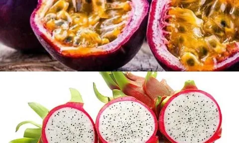 Chanh leo và thanh long Việt Nam đối diện nguy cơ bị EU siết chặt kiểm soát
