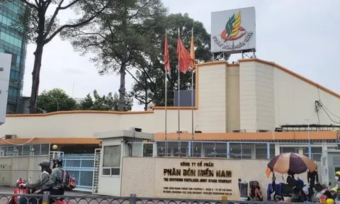 Phân bón Miền Nam dự kiến chia cổ tức tiền mặt 5%