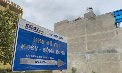 Kosy Group: Lợi nhuận lao dốc, hàng loạt dự án phải mang đi thế chấp