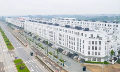 Soi năng lực của OSI Holdings - chủ bộ đôi dự án Avenue Garden, Oriental Square