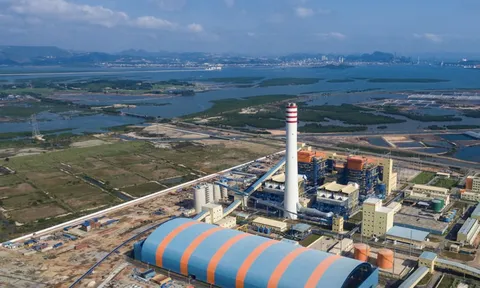 Nhiệt điện Thăng Long lỗ nặng nhưng báo lãi 'nhầm' hơn 120 tỷ đồng