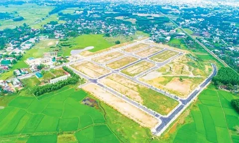 Phó thủ tướng yêu cầu hoàn thiện dự thảo 2 Nghị định quy định về đất đai, nhà ở