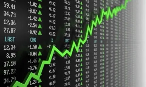 Pyn Elite Fund cảnh báo rủi ro với cổ phiếu công nghệ