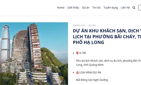 THT Group: ‘Ông lớn’ BĐS bị cấm đấu thầu vì khai hồ sơ không trung thực