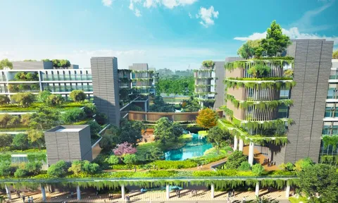 Vịnh Ngọc: Nơi chuẩn sống chữa lành trở thành tài sản của tầng lớp thịnh vượng