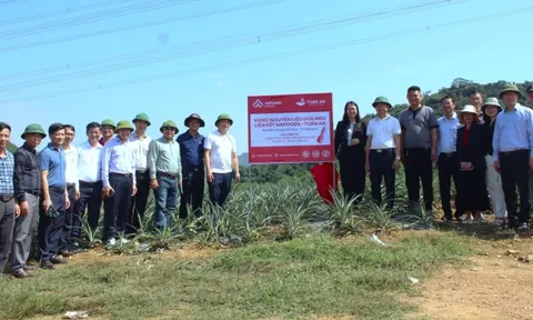 Nafoods Group mở rộng đầu tư giữa lúc nợ vay phình to