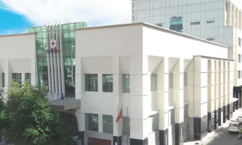 Loạt công ty điện lực miền Nam dính sai phạm tại các dự án phát triển điện mặt trời