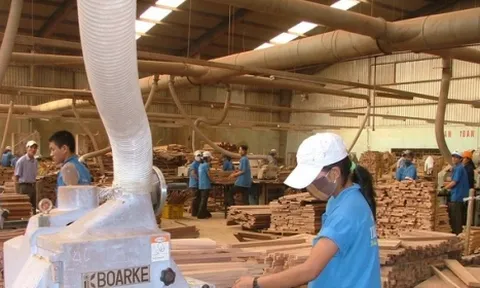 Hoa Kỳ gia hạn thời hạn kết luận lẩn tránh thuế chống bán phá giá gỗ dán nhập khẩu từ Việt Nam