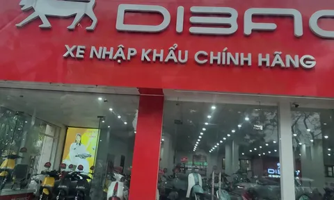 Thu trăm tỷ đồng mỗi năm, ông chủ xe điện Dibao không phải nộp thuế thu nhập doanh nghiệp?