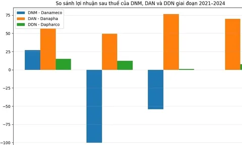 Những cuộc đổi chủ âm thầm, tay to nào thâu tóm các DN dược Đà Nẵng?