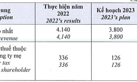DatXanh Services (DXS) lên kế hoạch lợi nhuận 2023 đi lùi