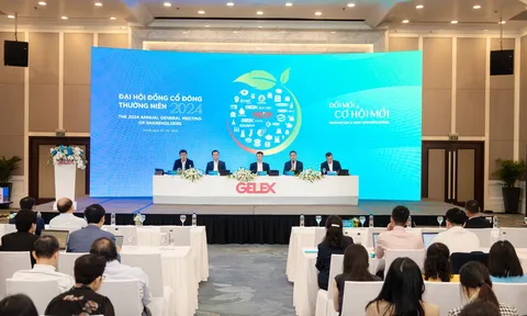ĐHĐCĐ 2024 Tập đoàn GELEX diễn ra thành công