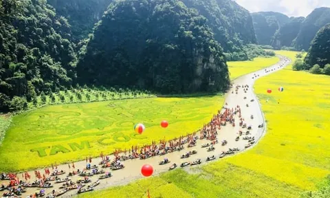 Ninh Bình thu hồi hơn 216 ha đất của 11 dự án chậm tiến độ