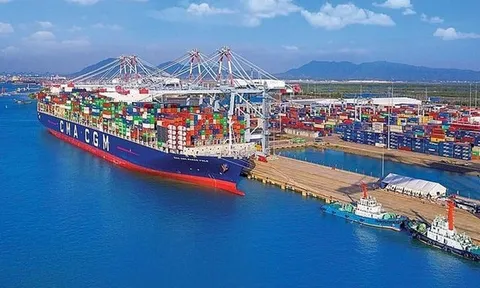 “Đại gia” đất cảng muốn làm dự án logistics 6.000 tỷ tại Thanh Hóa