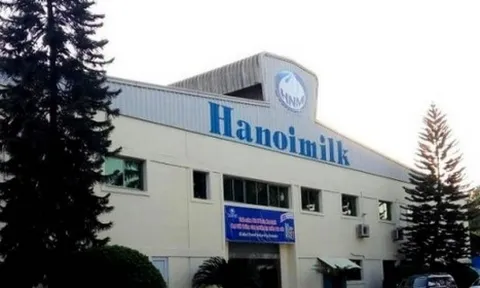 Vi phạm chứng khoán, Hanoimilk bị phạt 200 triệu đồng