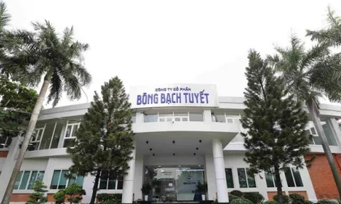 Lãi 1,7 tỷ đồng nhưng Bông Bạch Tuyết bị xử phạt và truy thu thuế hơn 5 tỷ đồng
