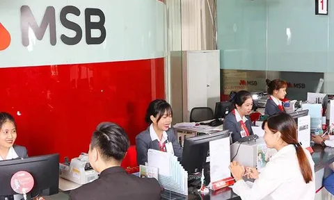 Sức khỏe tài chính MSB ra sao trước thông tin có thể sáp nhập thêm PG Bank?