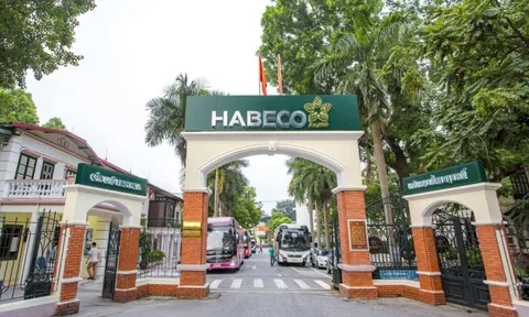 Habeco thận trọng lên kế hoạch giảm nửa lãi trong năm 2026