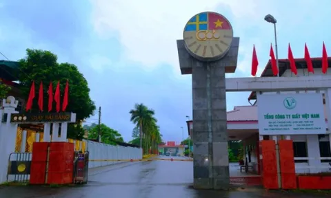 Vinapaco: Chỉ tiêu tài chính không an toàn, đầu tư thua lỗ, có khả năng mất trắng vốn